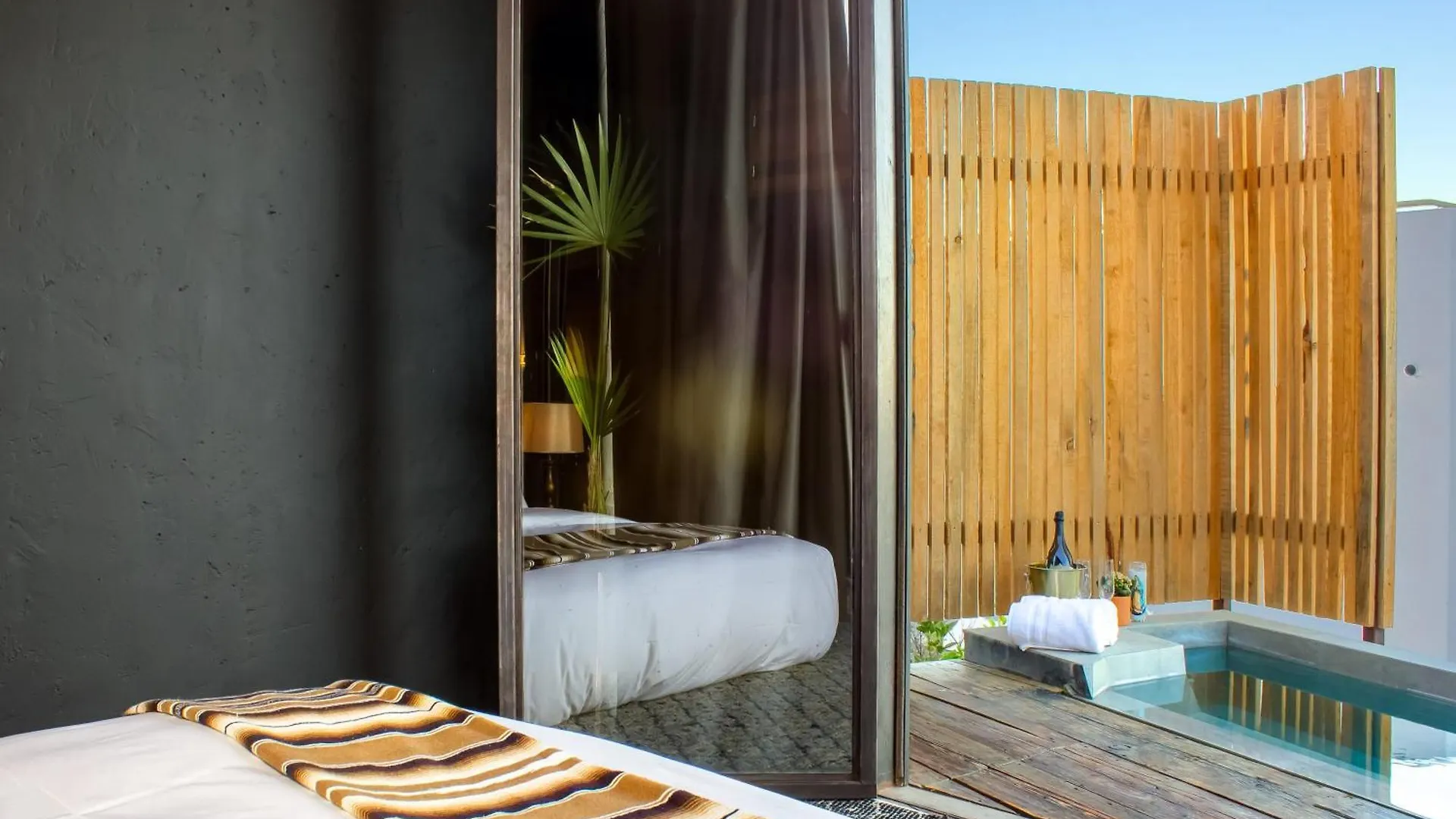 Spa Suite A Unique Cabo Oasis At The Oliver Cabo San Lucas Messico